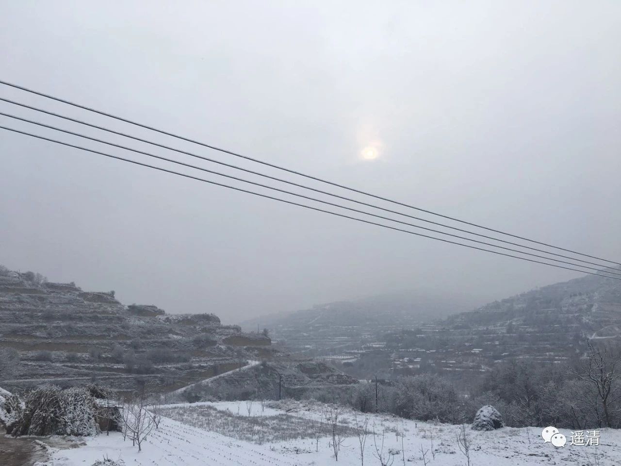 老家的乡村景象